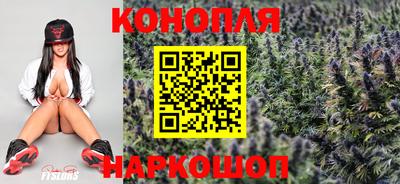крисы Чебоксары