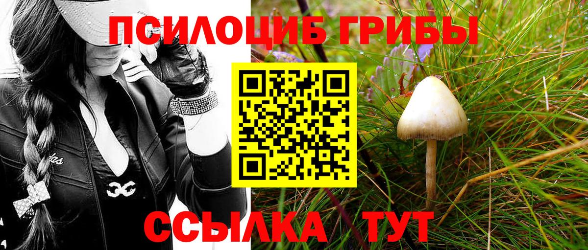 Галлюциногенные грибы Psilocybine cubensis Богданович