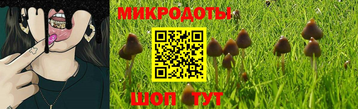 Галлюциногенные грибы мухоморы  Вход с VPN  Галлюциногенные грибы Psilocybine cubensis  Богданович 