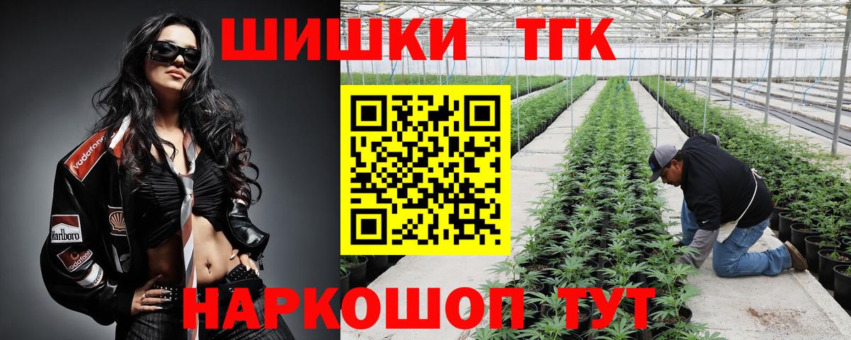 Конопля планчик Богданович